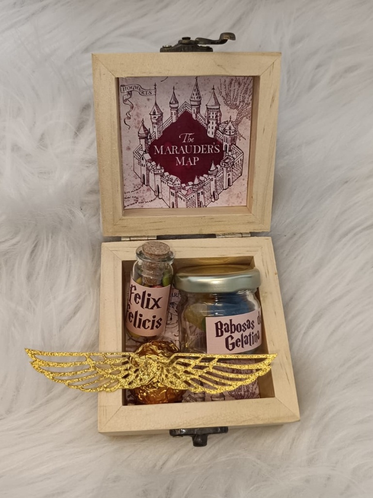 Cofre Felix Felicis 