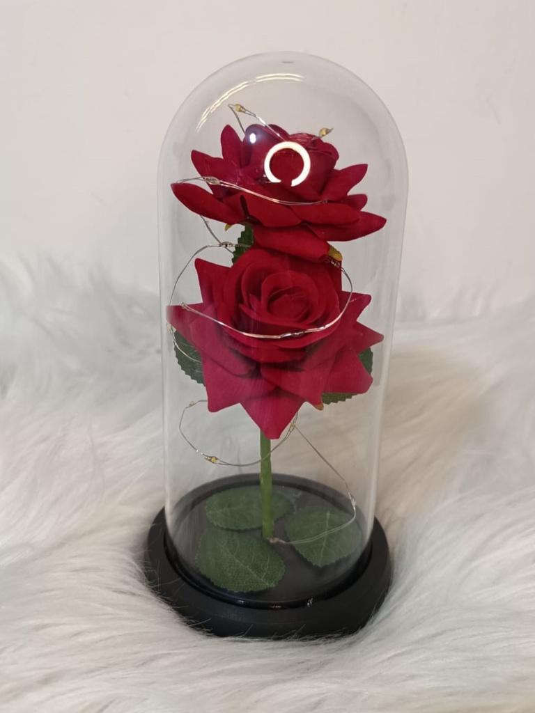 Cúpula Rosa