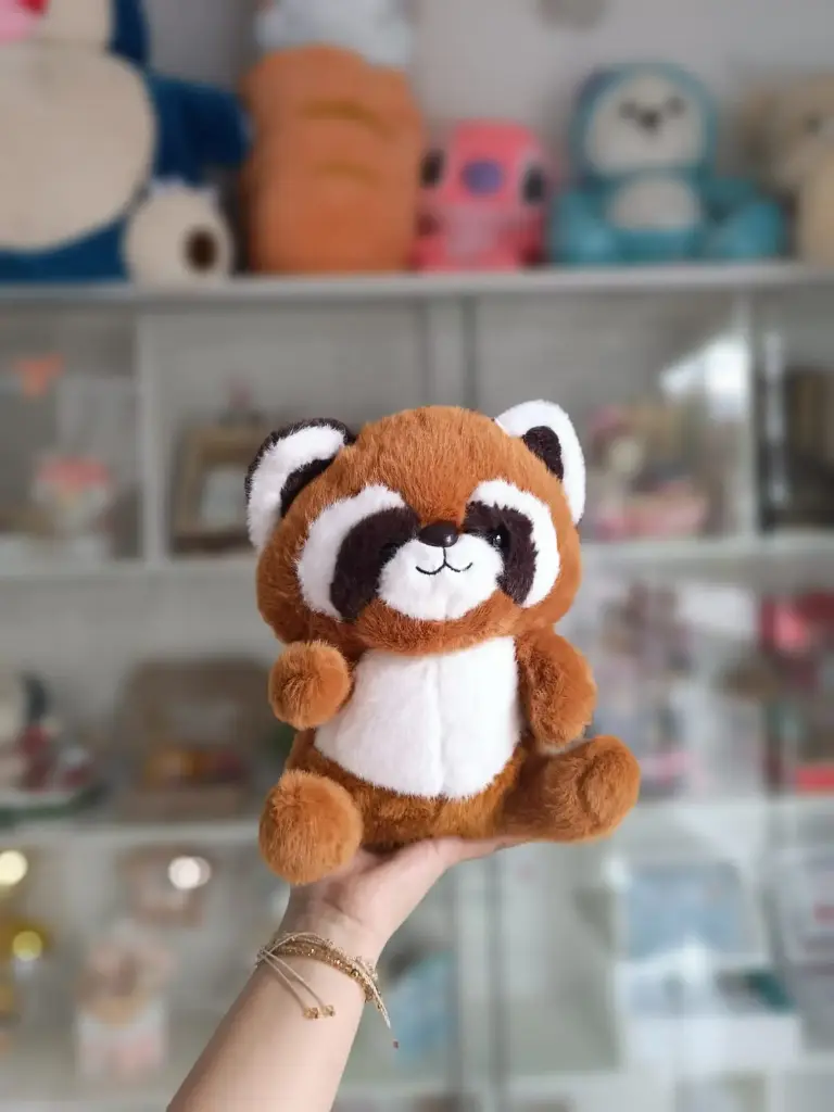 Mapache 23cm