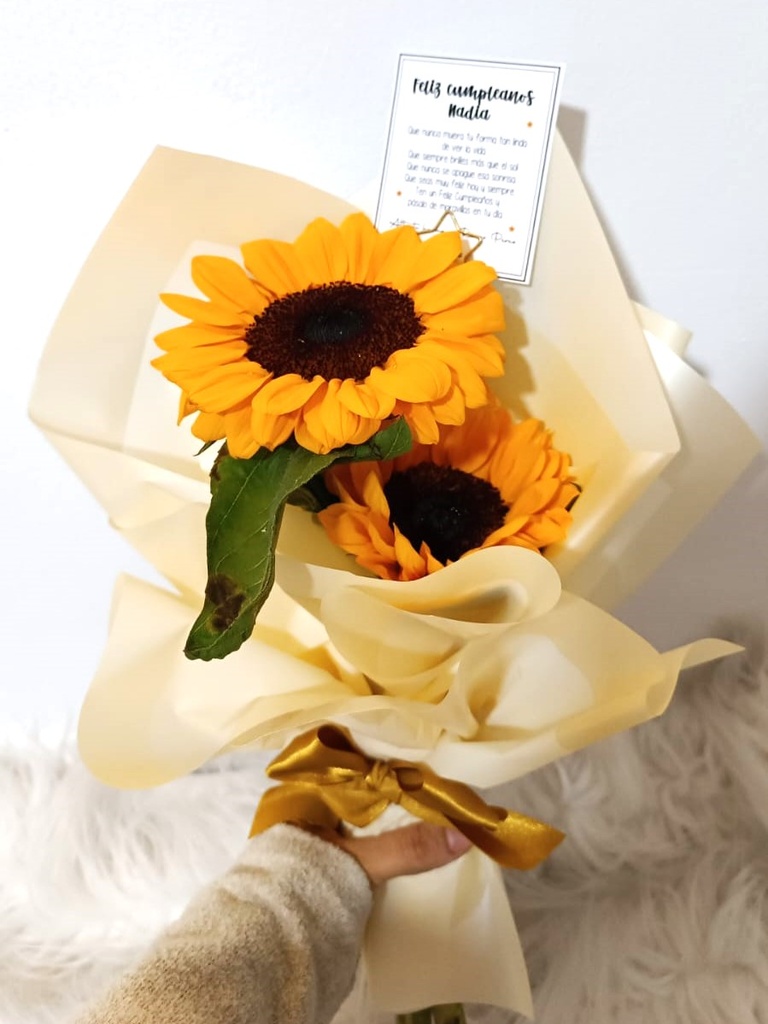 Little SunFlower 