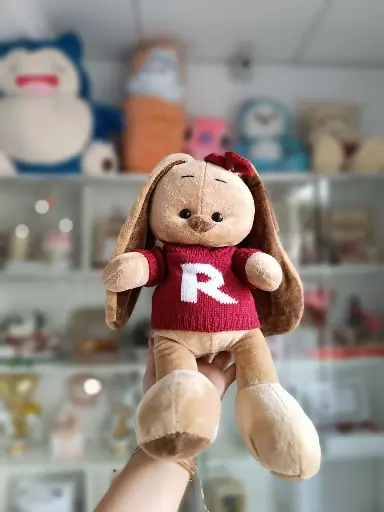 [CCH33] Peluche Conejo con Chompa 33cm