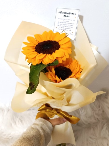 Little SunFlower 