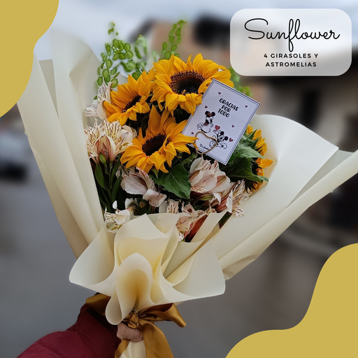 Four Sunflower 