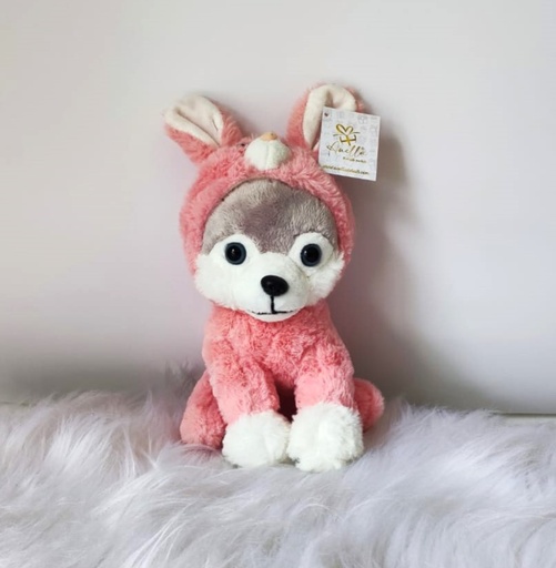 [LBT01] Lobito con disfraz 23cm